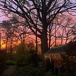 Het Beukenootje Hébergement de vacances Aerdenhout