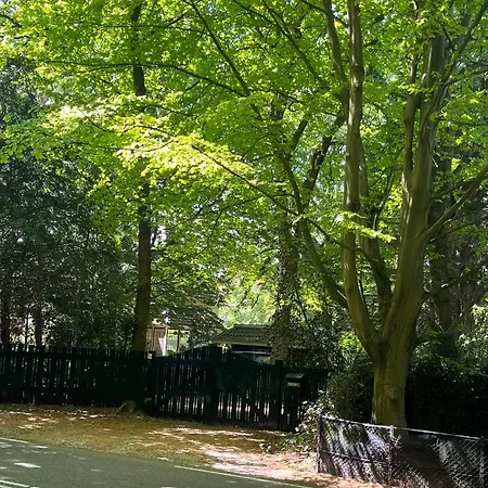 Het Beukenootje * Aerdenhout