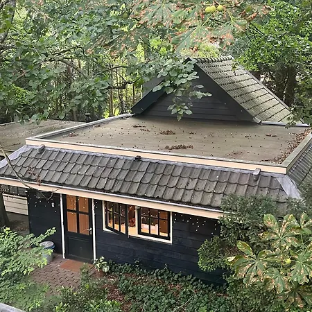 Het Beukenootje Feriehus Aerdenhout