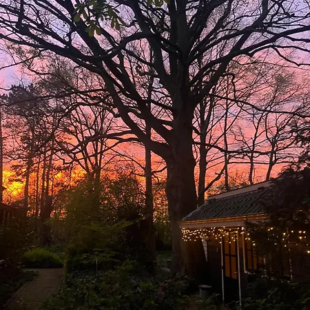 Het Beukenootje Feriehus Aerdenhout