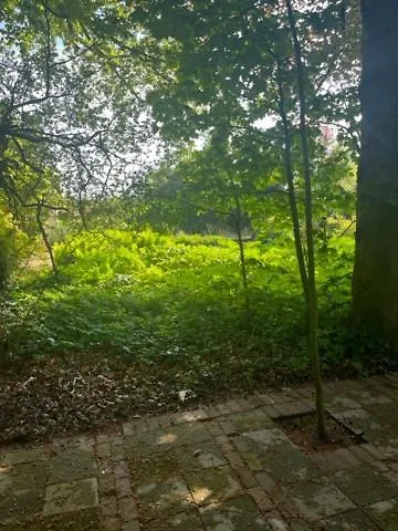 펜션 Het Beukenootje