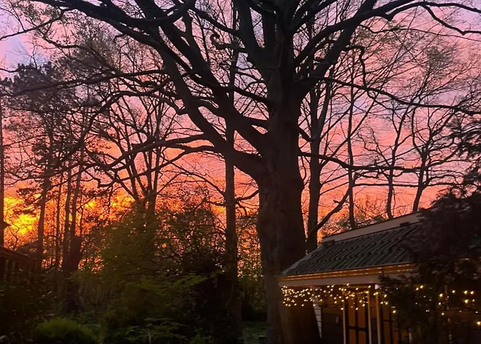 Het Beukenootje 펜션 Aerdenhout