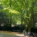 Het Beukenootje * Aerdenhout