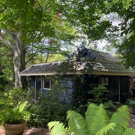 Het Beukenootje Vakantiehuis