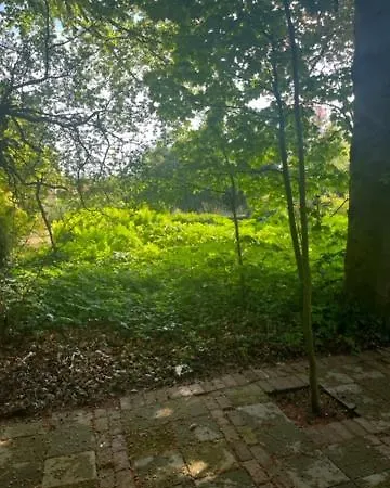 Semesterbostad Het Beukenootje