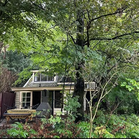 Vakantiehuis Het Beukenootje Aerdenhout