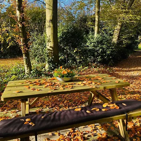 Het Beukenootje Semesterbostad *